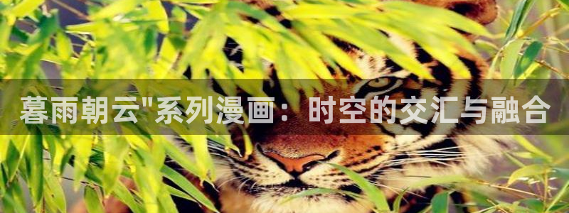 皮皮喵漫画书源：暮雨朝云\